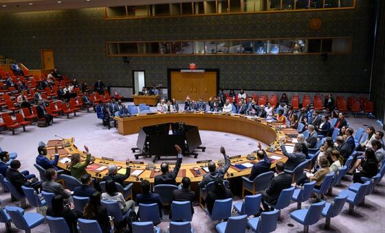 مجلس الأمن يمدد ولاية لجنة الخبراء التي تراقب العقوبات المفروضة على السودان والمتعلقة بالنزاع في دارفور لمدة شهرين. القرار رقم 2828 مدّد أيضا فرض العقوبات حتى التاسع من الشهر المقبل، وأكد أن الوضع في السودان لا يزال يشكل تهديدا للسلم والأمن الدوليين.
